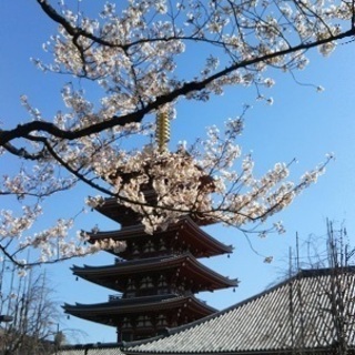 室生寺散策友だちを探しています❗️