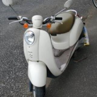 HONDA クレアスクーピー 自賠責保険付き！ 原付バイク 白 ...