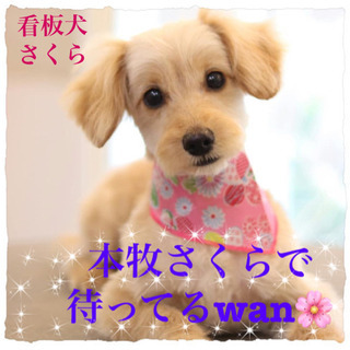 週1からアルバイト募集してます。の画像
