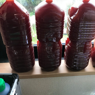 光合成細菌 自家栽培 濃厚PSB 500ml 針子、稚魚のエサ、無農薬栽培に。の画像