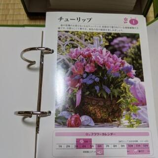 ＩＭＰ  インターナショナル･マスターズ･パブリシャーズ社   ...