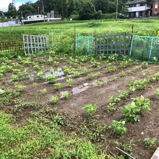 家庭菜園｜短期賃貸の住宅情報｜ジモティー