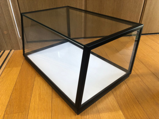 ショーケース　みたいなやつ