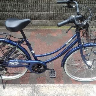 🚴クルーバイブス24インチ