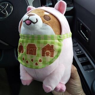 忠犬もちしば