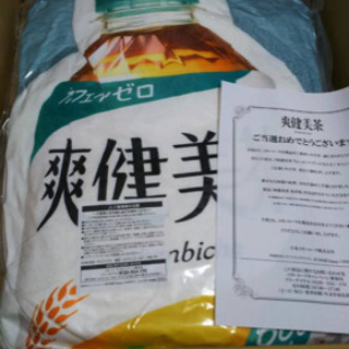 探してます　爽健美茶　抱き枕