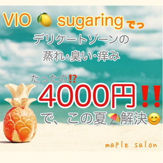 8月限定価格‼️シュガーリング🍋2000円OFF🌿