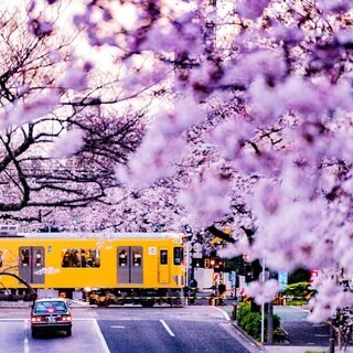 【平日・土曜休日可】カメラ/登山/ロードバイクなど一緒にやってくれる相手募集 − 東京都