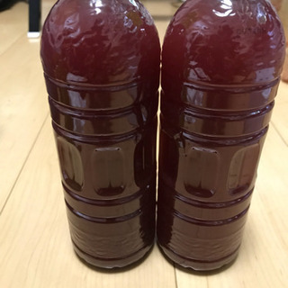 光合成細菌 自家栽培 濃厚PSB 500ml 針子、稚魚のエサ、無農薬栽培に。の画像