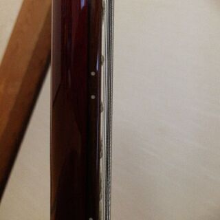 Epiphone g-400の画像