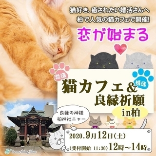 ＼猫好きさん集まれ～！！！／ 恋が始まる猫カフェ＆良縁祈願 in 柏