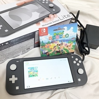 switch lite gray