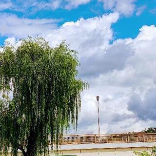 鴨川朝活☀️🌱8/9（日）  − 京都府