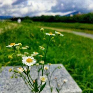 鴨川朝活☀️🌱8/9（日）  - メンバー募集