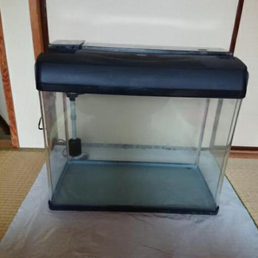 水槽60㎝