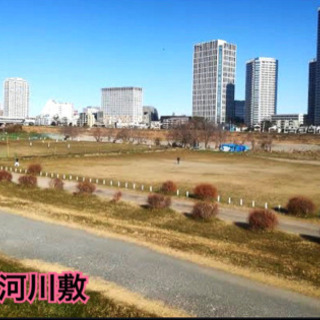 〜ゆるーくお散歩しましょう〜 - 国分寺市