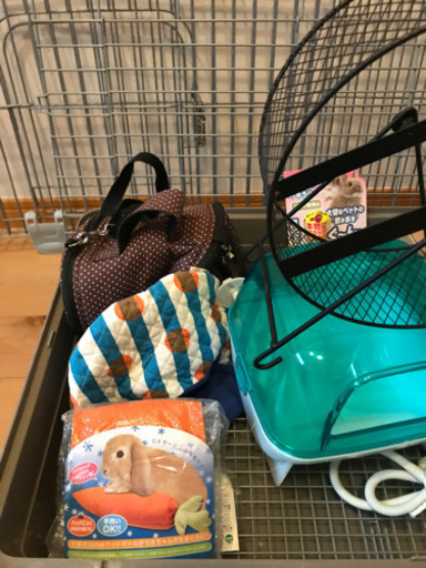ハリネズミ　ゲージその他いろいろまとめて
