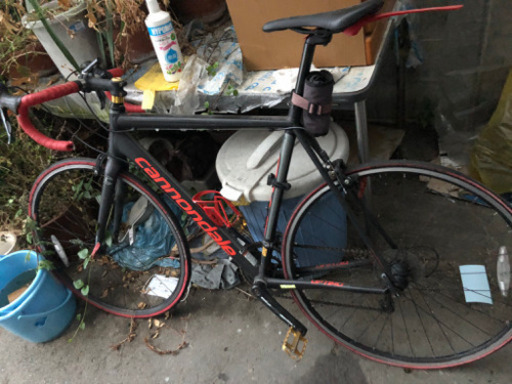 キャノンデール　限定モデル