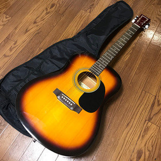 PLAYTECH アコースティックギター エレアコ アコギ フォ...