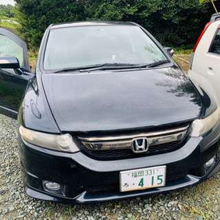 アブソルート入荷