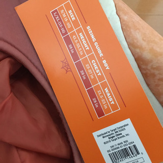 【未使用】【最終】fromカリフォルニア! ハロウィンコスチュームの画像