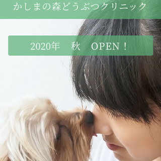 茨城県鹿嶋市に今秋動物病院開院のためオープニングスタッフ募集！の画像