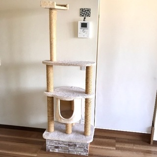 キャットタワー & ワイン木箱