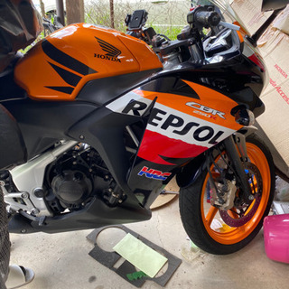 HONDA CBR250R MC41前期 レプソルカラー の画像