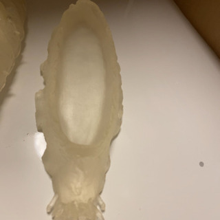 手渡し希望‼️ナウシカ　オウム抜け殻栽培セットの画像