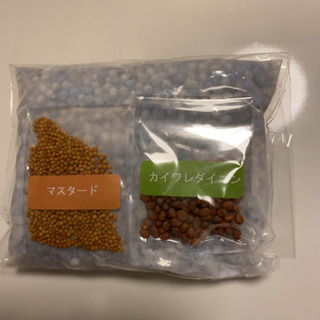 手渡し希望‼️ナウシカ　オウム抜け殻栽培セットの画像