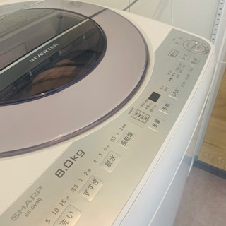 SHARP 2018年製8Kg  全自動洗濯機 ES-GV8B