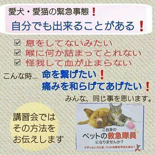 ペットの命を守る❗ペットセーバー講習会の画像