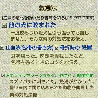ペットの命を守る❗ペットセーバー講習会の画像