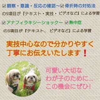ペットの命を守る❗ペットセーバー講習会の画像