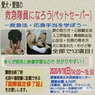 ペットの命を守る❗ペットセーバー講習会