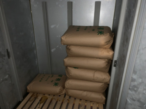 お米　令和元年　キヌヒカリ