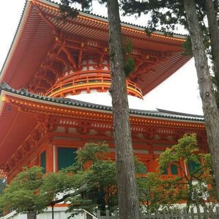 城郭・神社仏閣巡り