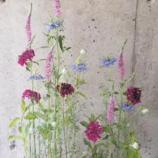 フラワーアレンジ教室(生花）の画像