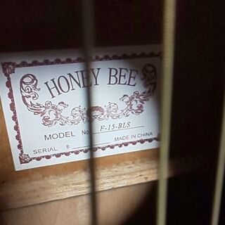 アコースティックギター HONEY BEE ブルーの画像