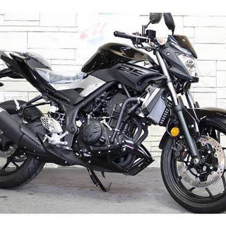 mt25