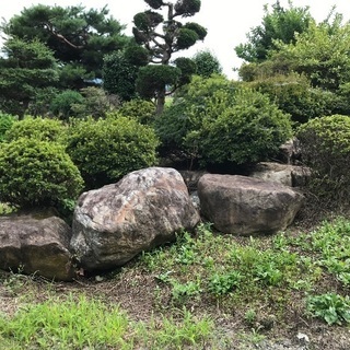 🪨庭石さしあげます。👷‍♂️🛻🏗  引き取り限定でお願いします。