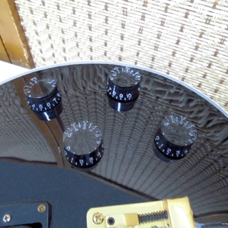 Grass Roots/グラスルーツ ベース レスポールタイプ 4弦 ブラック 南12条店