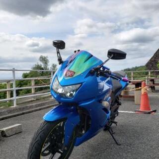 Kawasaki　Ninja250R　ゼロ式