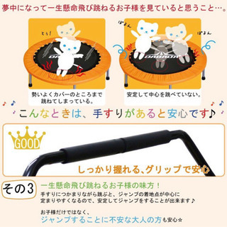 DABADA トランポリン用手すりの画像