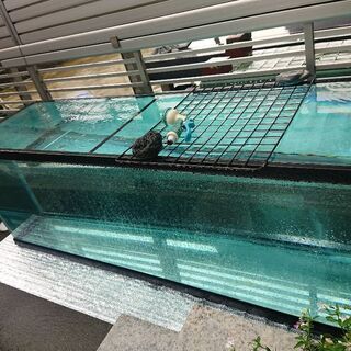 大型水槽売却