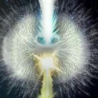 🌎未来地球予報🌎 - 新宿