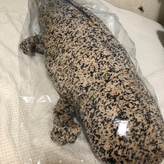 新品 オオサンショウウオ LLサイズ 90cm 京都水族館 即日...