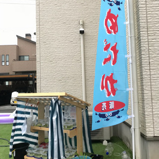 ゴールデンメダカ 無人販売所 幹之光、幹之ヒレ長 、体内光百式、...