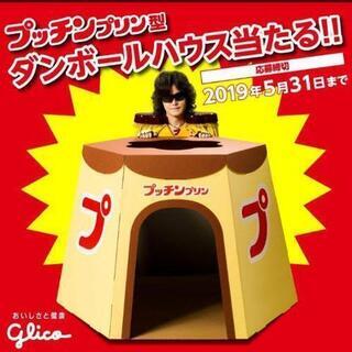 プッチンプリン型 ダンボールハウス

