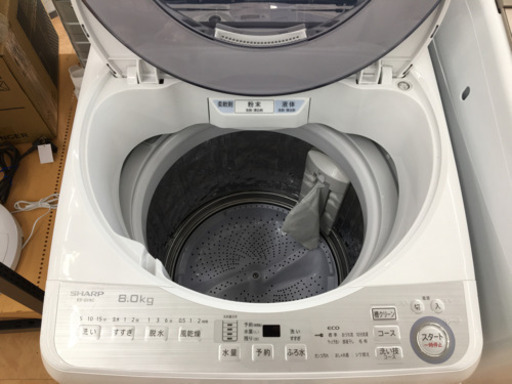【トレファク摂津店】SHARP(シャープ)の2019年製全自動洗濯機が入荷しました！